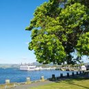 무지개 사슴농장 이미지