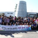 송수현 카카오 검색결과