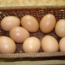 장수꼬리곰탕 이미지