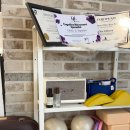 대흥헬스 | 대흥역 필라테스로 자세부터 다시 잡아본 기록