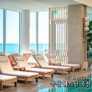 마린휘트니스클럽 | 부산 웨스틴 조선 호텔 수영장 해운대 숙박
