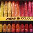 얌차 (yumchaa) 이미지