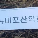 도성리 이미지