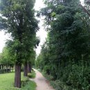 안산농장 이미지