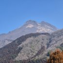 뽑아줘 | [여행] 후쿠오카, 규슈 2박 3일 패키지 여행 일정 후기(1) : 붐따와 붐업이 뒤죽박죽, 하루만 더 줘...