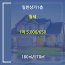 권오경 사무소 이미지