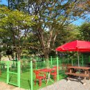 엄마네식당 이미지