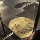 라스트춘선 홍대 이미지