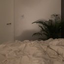 용문반점무전점 이미지