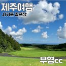 부영컨트리클럽 | 제주 부영cc 서귀포 골프장 , 그린피와 가성비 솔직후기