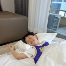 스테이옹치 이미지