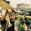 박영숙농장 이미지