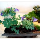 비엔나모텔 이미지