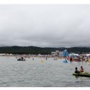 고래불해수욕장(병곡지구) 야영장 이미지