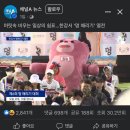 뽑아가으리 | My daily life in May