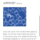 제이디 평창휘닉스찜질방 힐링센터 | [여행] 강원도 평창/봉평 휘닉스찜질방 힐링센터 소마탕 내돈내산 이용후기