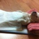 오늘밥상 이미지