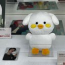 재환축사 | [749번째 고백 My love My destiny] 켄 팬콘서트 1회차 낮공 후기💛