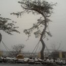 이서면사무소 앞 이미지