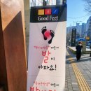 굿피트 코리아 제1사업본부 이미지