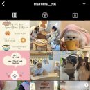 멈무eat 네이버블로그