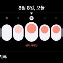 아이폰 생리주기 쩐다........! 이미지