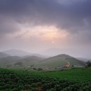 덕은4리 이미지