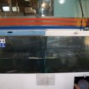 싱싱장어 이미지