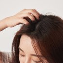 헝클머리 이미지