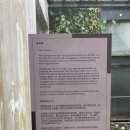 필 호스텔 | 여자 혼자 싱가포르 숙소 [블루워터스 여성전용 호스텔(Bluewaters Female Only Hostel)]