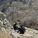 부산상회 | 허벅지 불타는 부산 근교 등산 추천 영남알프스 가지산 석남터널 코스