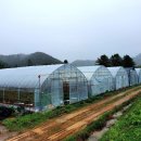 산채건강마을 이미지