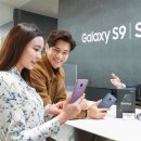 S zone (에스존) 한국일보