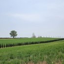 안성시 관광지원센터 이미지