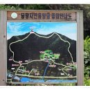 봉황자연휴양림 이미지