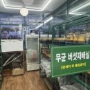 신갈농장 네이버블로그
