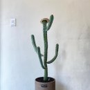 신목농장 이미지