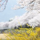 서시천자전거길2 이미지