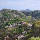 덕진체련공원 약수터 이미지