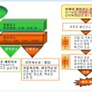 항산화란 무엇인가? 이미지