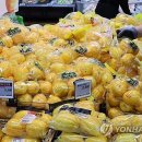 그리드그라피 이미지