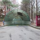 삼성동-19 이미지