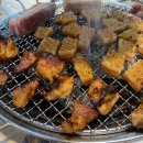 성인문해교육-줄기반 이미지