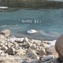 경호강 카라반 | [경호강 카라반 솔직후기]