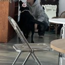 베스티멍 네이버블로그