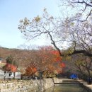 아라메길 (천년미소길-순환) 이미지