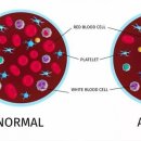 주식회사 메디웰 이미지