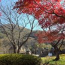 해안로 787 이미지