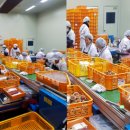 대현농장 이미지