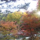 수가솔방 이미지